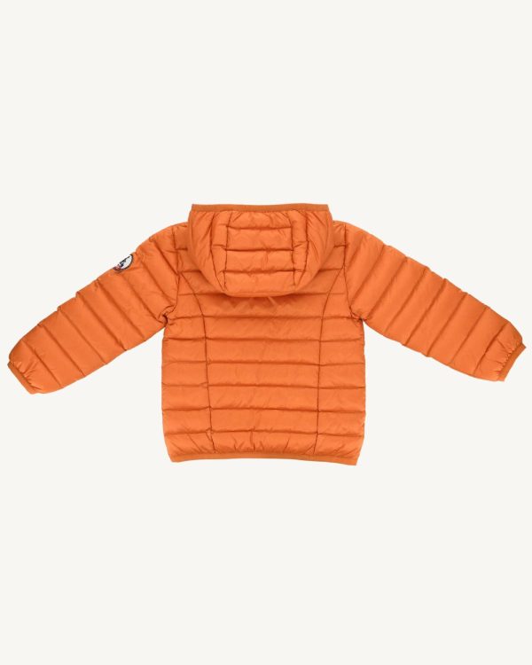 Neatfit.shop158ccdc7c2 2