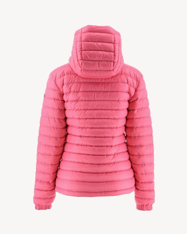 Neatfit.shop868bf81f0d 4